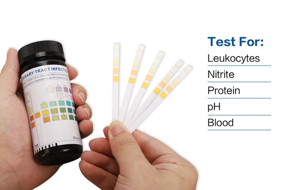 Glucose Protein Urine Ph Strips MSDS Approved