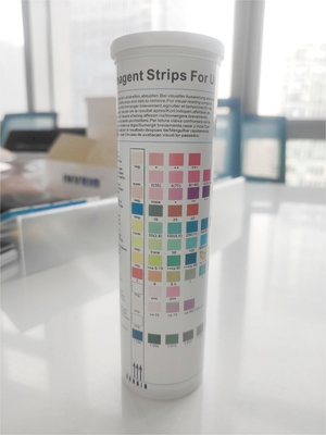 10 Parameter Urinalysis Test Strips 100 Dipsticks Diabetes Uti Ph More