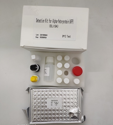 Quantitative Alpha Fetoprotein Elisa Detection Kit AFP In Human Serum