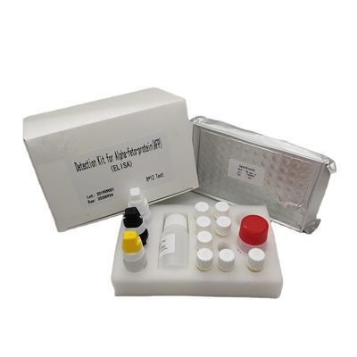 Quantitative Alpha Fetoprotein Elisa Detection Kit AFP In Human Serum