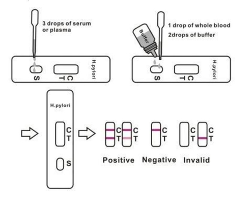 Antibody Rapid Detection H Pylori Stool Test Kit Cassette