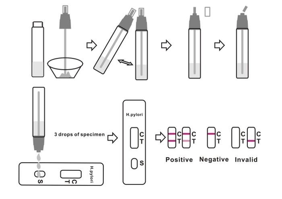 CE Approved Stool Diagnosis H Pylori Antigen Rapid Test At Home
