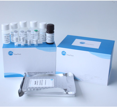Angiotensin I Converting Enzyme ACE Elisa Test Kit INVBIO