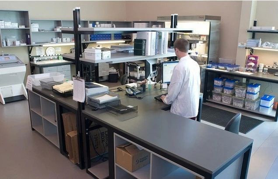 PLGF Placental Growth Factor Elisa Test Kit