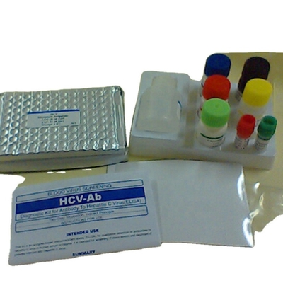 Research Use MSDS Elisa Test Kit Human Il-17 Interleukin 17